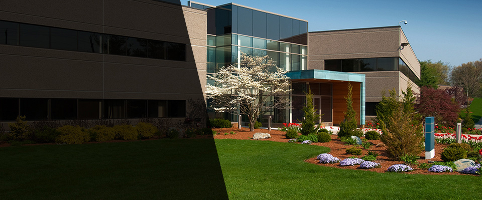 Dayville Landscapers