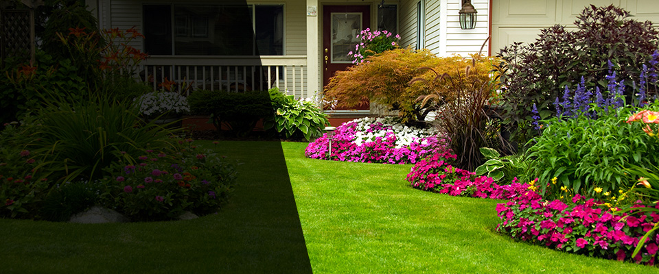 Dayville Landscapers