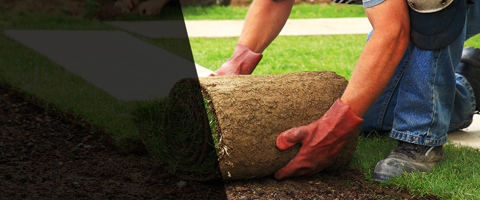 Dayville Landscapers